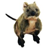 Obtenez le jouet Quokka Soft Animal - ici chez His Gifts!