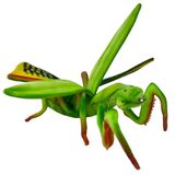 Praying Mantis Soft Toy - Hansa