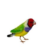 Gouldian Finch Bird Soft Toy - Hansa