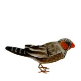 Zebra Finch Soft Toy - Hansa