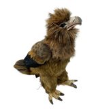 Wedge Tailed Eagle Soft Toy - Hansa