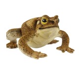 Cane Toad Soft Toy - Hansa