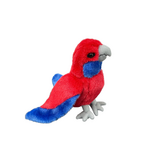 Red Lorikeet - Wilmot Harvey