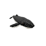 Humpack Whale - Wilmont Harvey