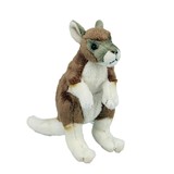 Kangaroo Baby - National Geographic