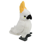 Cockatoo Baby Small - National Geographic