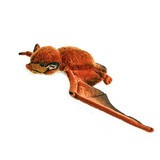 Eastern Red Bat - National Geographic