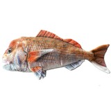 Sonny Snapper Fish Aquatic Toy - Huggable