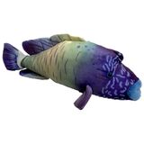 Wrasse Fish Plush Toy - Huggable