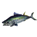 Tommy The Tuna Plush Toy