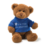 Big Brother Teddy Bear