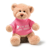 Big Sister Teddy Bear