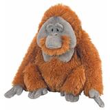 Orangutan Male Cuddlekins - Wild Republic