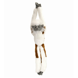 Hanging Cotton Top Tamarin Monkey W/Velcro 