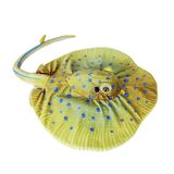 Blue Spotted Ray Medium - Wild Republic