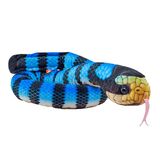 Sea Snake Yellow Lipped Toy - Wild Republic