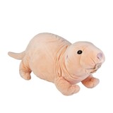 Naked Mole Rat Cuddlekins Soft Toy - Wild Republic