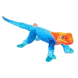 Rainbow Lizard- Coilkins - Wild Republic