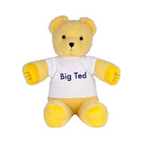 Play School Big Ted Plush Toy ABC Kids