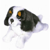 Alex the King Charles Spaniel Dog - Bocchetta