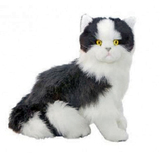 Angus the Cat Plush Toy - Bocchetta