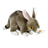 Belinda the Bilby Soft Toy - Bocchetta