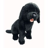 Sitting Black Labrador Darth - Bocchetta