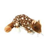 Dotti the Quoll Plush Toy - Bocchetta