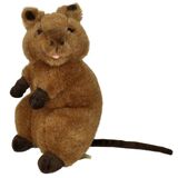 Edward the Quokka Soft Toy - Bocchetta