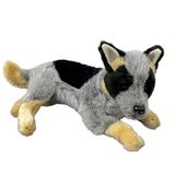 Cattle Dog Blue Heeler Gallagher - Bocchetta