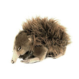 Harry the Echidna Plush Toy - Bocchetta