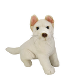 Ivory the White Dingo - Bocchetta