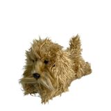 Pluto the Oodle Dog Plush Toy - Bocchetta