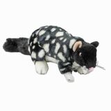 Polka the Quoll Plush Toy - Bocchetta