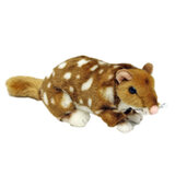 Spotty the Quoll Plush Toy - Bocchetta