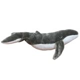Humpback Whale Dinki Di - C A Australia