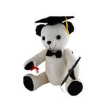 Graduation Bear With Pen Signature Message Teddy