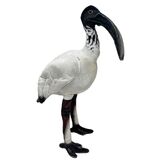 Opal Ibis Soft Toy - Huggable