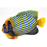 Angel Fish Aquatic Plush Toy - Huggable