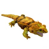 Basil Bearded Dragon Hand Puppet Soft Toy - Huggable