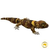 Bravo the Gecko Lizard Soft Toy - Huggable Toys