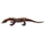 Greg the Goanna Soft Toy - Huggable