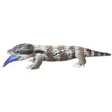 Jay Blue Tongue Lizard Soft Toy - Huggable