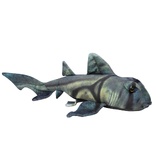 Port Jackson Shark Plush Toy - Huggable