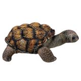 Darwin Tortoise Plush Toy - Huggable Toys