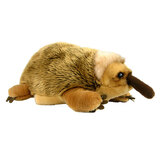 Echidna Hand Puppet Full Body - Korimco