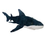 Finn Shark Aquatic Plush Toy - Huggable