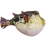 Puffer Fish Pablo - Huggable