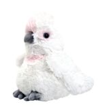 Little Cate the Corella Soft Plush Toy  - Minkplush