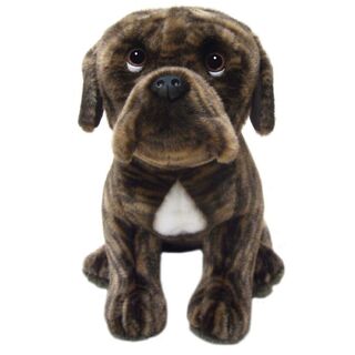 Boxer Brindle Dog  - Faithful Friends